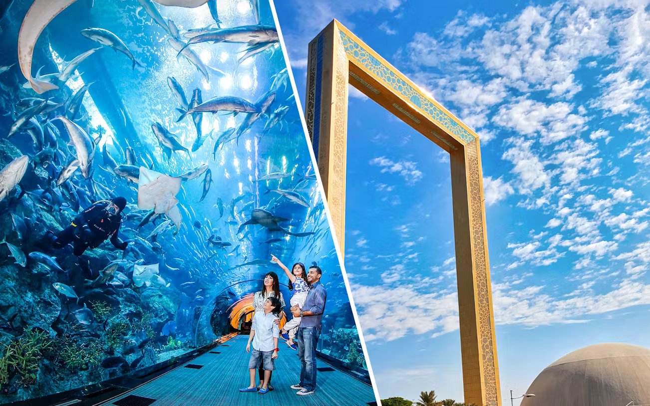 Super Saver: Dubai Frame + Dubai Aquarium & Underwater Zoo